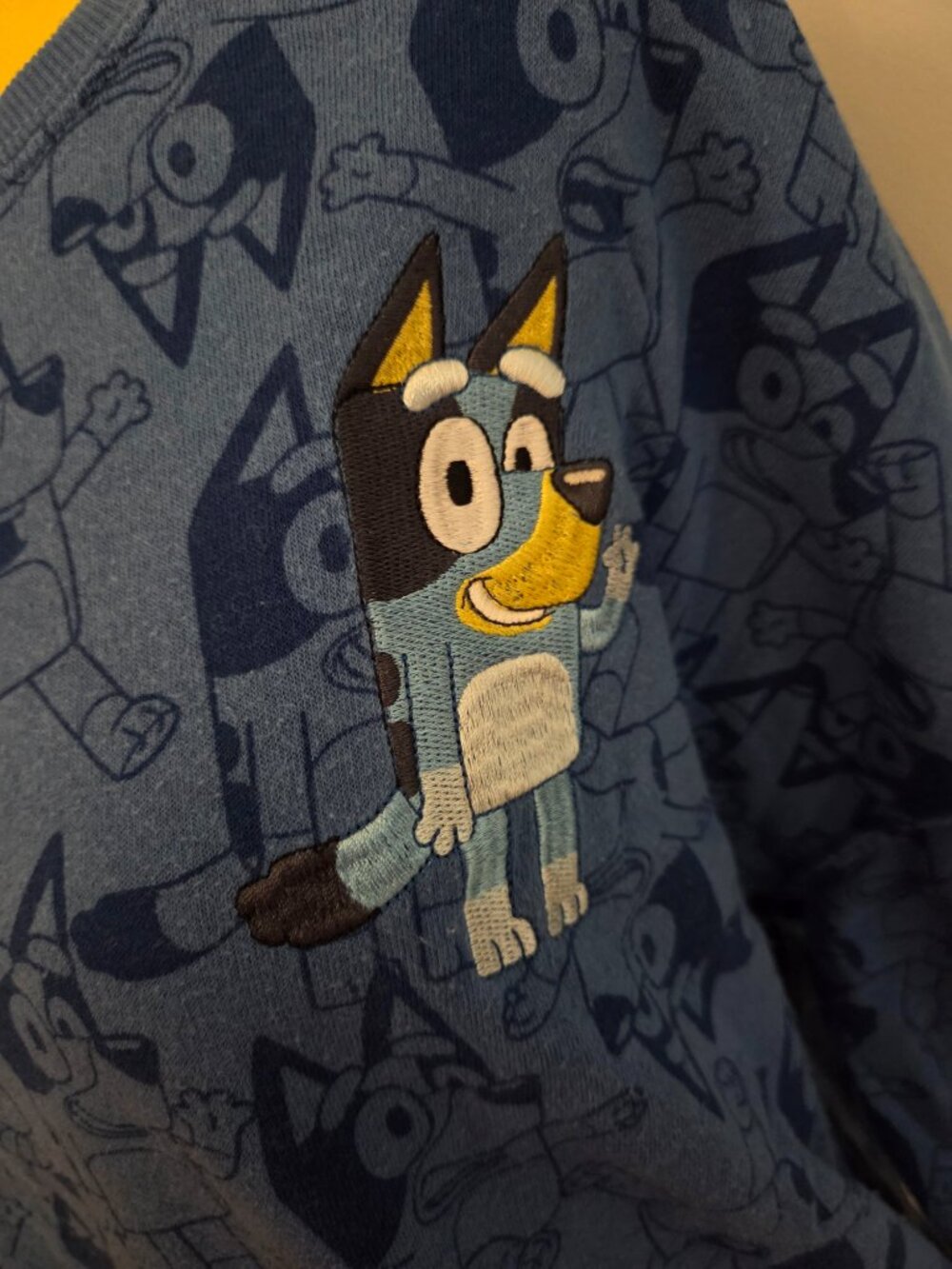 Bluey Pattern Sweatshirt - Picture 4 of 6